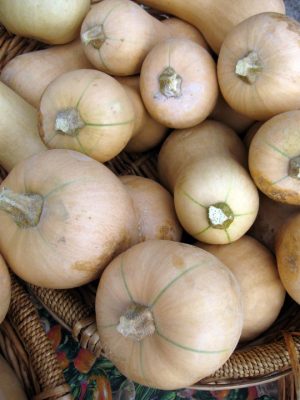 basket of butternut squash