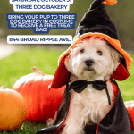 Three Dog Bakery – Pup Treats Three Dog Bakery - Pup Treats