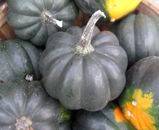 basket of acorn squash