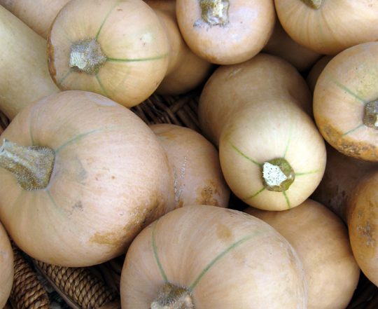 basket of butternut squash