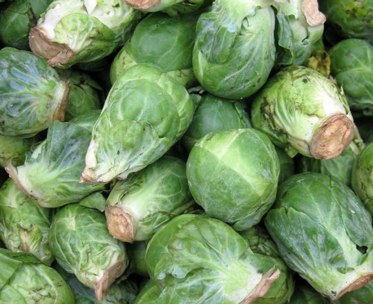 brussels sprouts