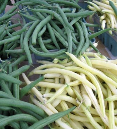 yellow and green snap beans