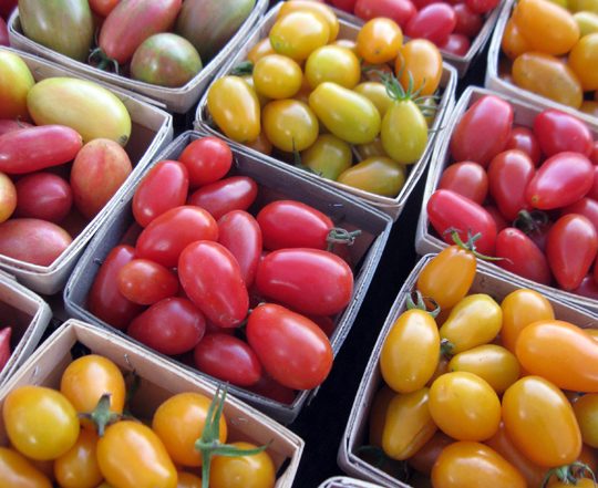 boxes of cherry tomatoes