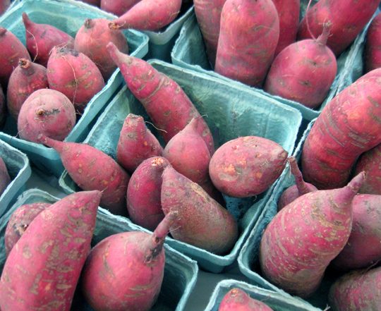 blue cartons of sweet potatoes