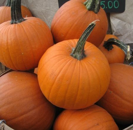 basket of small pie pumpkins