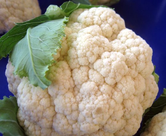 beautiful head of cauliflower