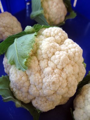 beautiful head of cauliflower