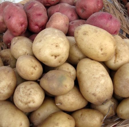 Potatoes Farmers Market Broad Ripple