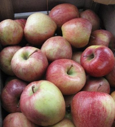 Cortland Apples