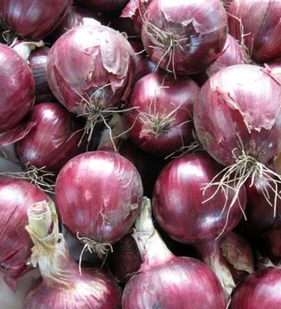 RedOnionsFarmersMarketBroadRipple