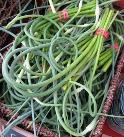 GarlicScapesBroadRippleFarmersMarket