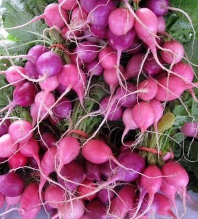 RadishesBroadRippleFarmersMarket
