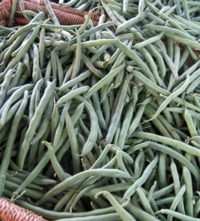 GreenBeansBroadRIppleFarmersMarket