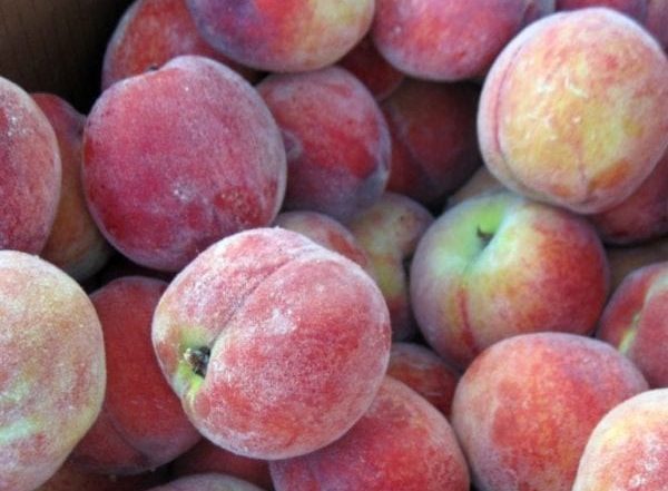 PeachesBroadRippleFarmersMarket