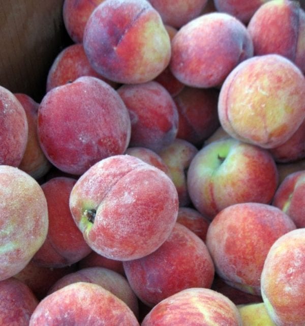 PeachesBroadRippleFarmersMarket