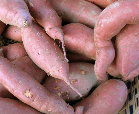 sweet potatoes in a basket