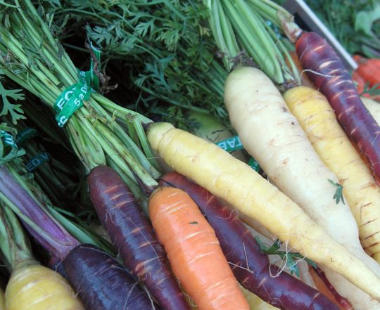 bunches of rainbow carrots