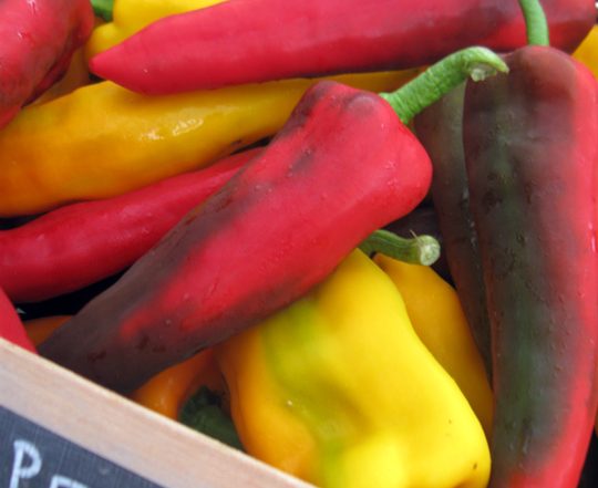 Italian frying peppers