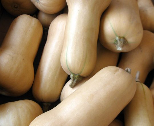 butternut squashes