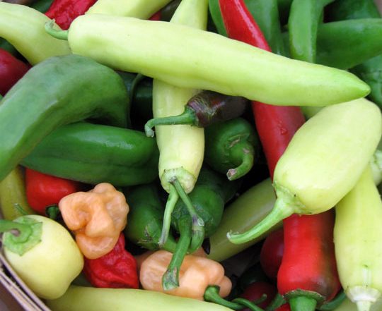basket of various hot peppers