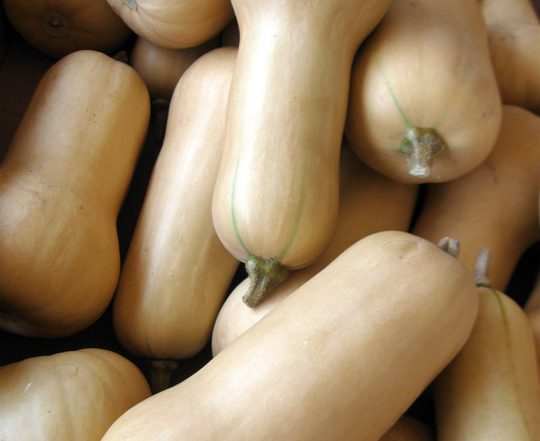 pile of butternut squash