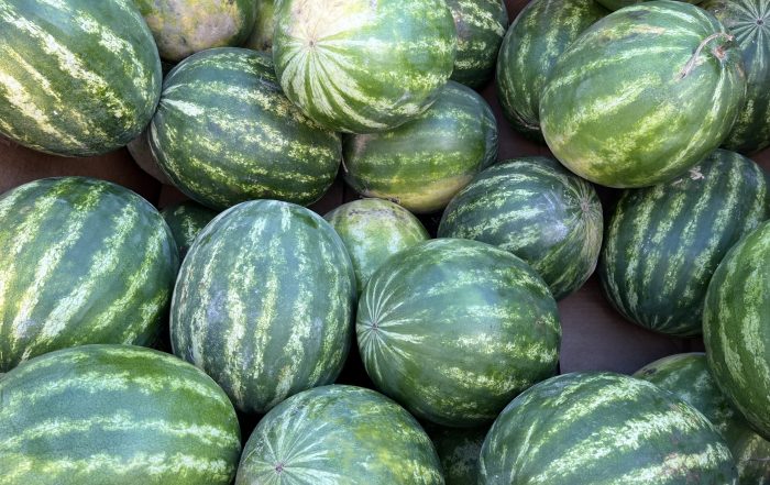 Watermelons