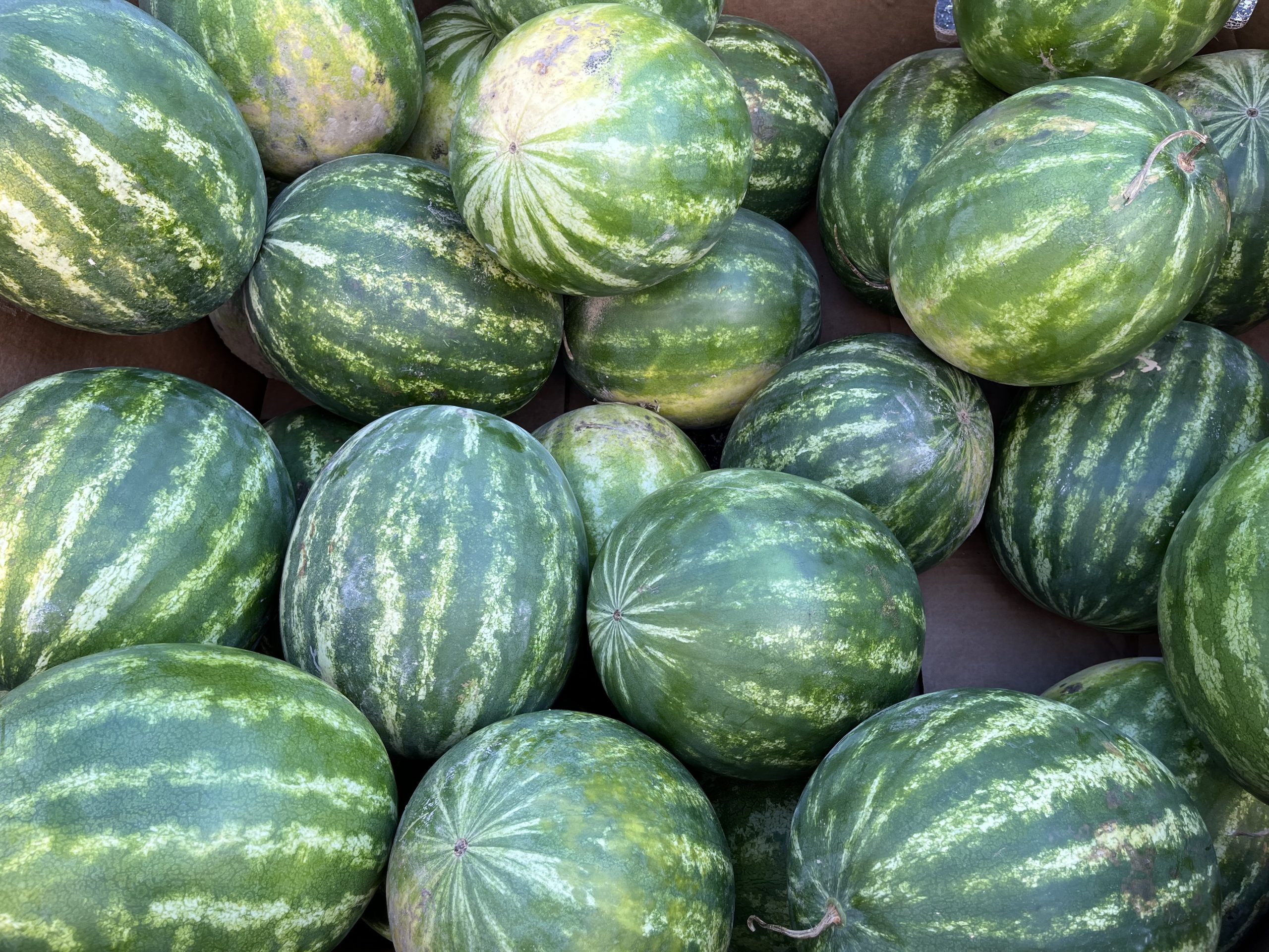 Watermelons
