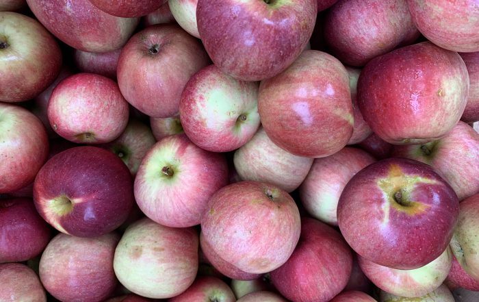 apples
